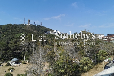 The Mount Austin The Mount Austin | 