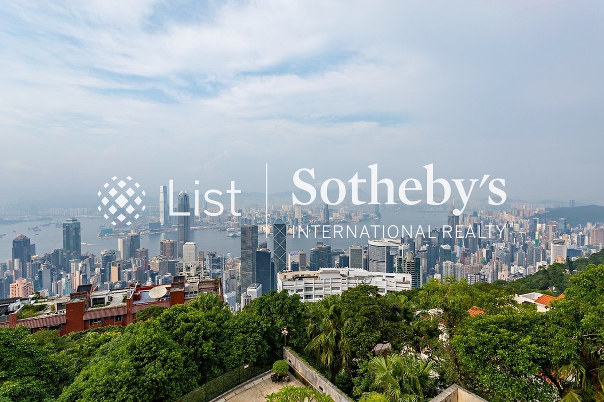 No. 56 Plantation Road 种植道56号 | View from Private Roof Terrace