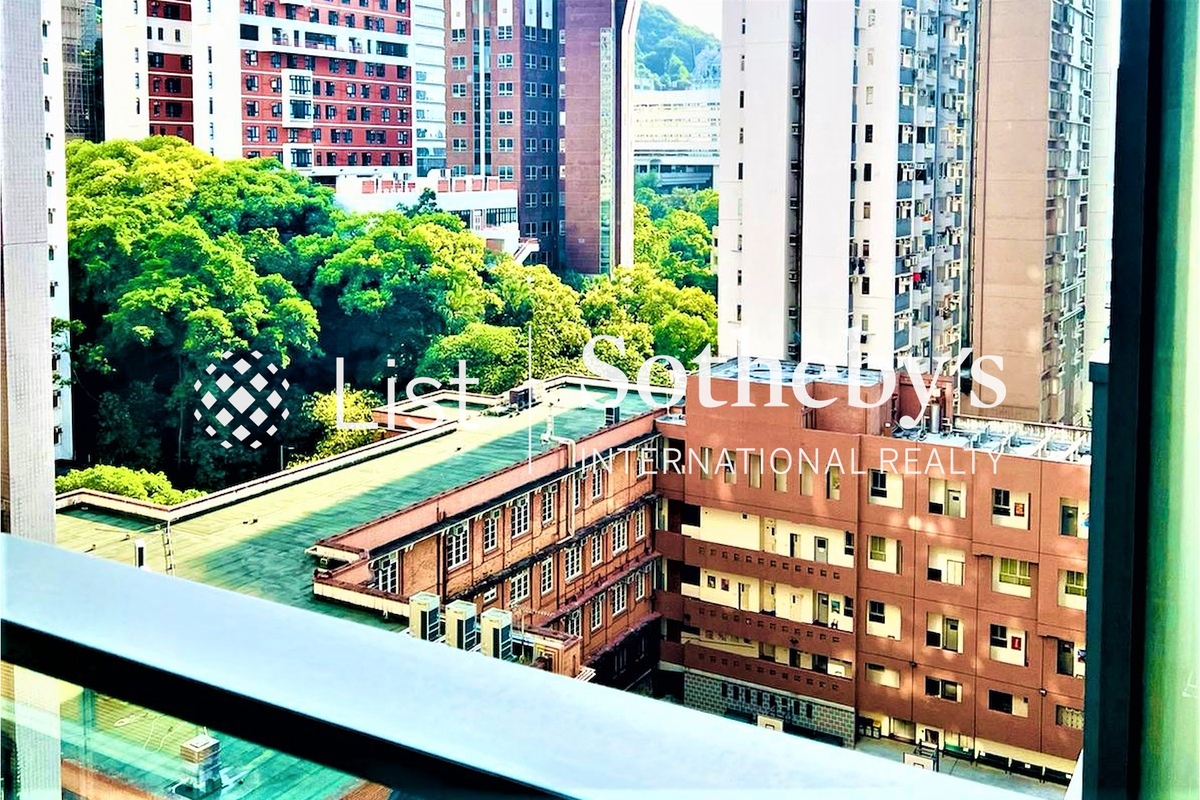 King's Hill 明德山 | View from Living and Dining Room