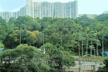 Pacific Palisades 寶馬山花園 | 