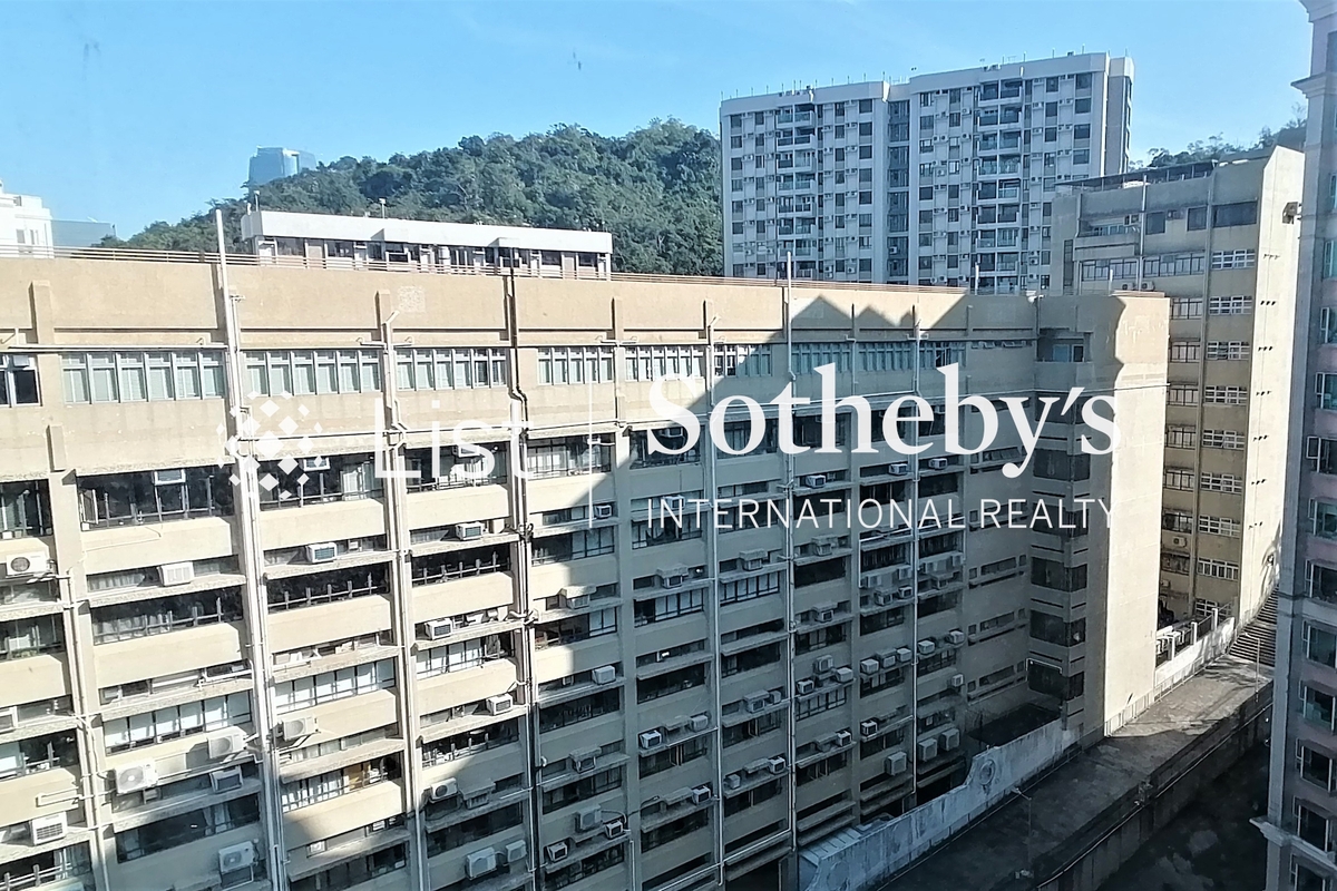 Pacific Palisades 宝马山花园 | View from First Bedroom