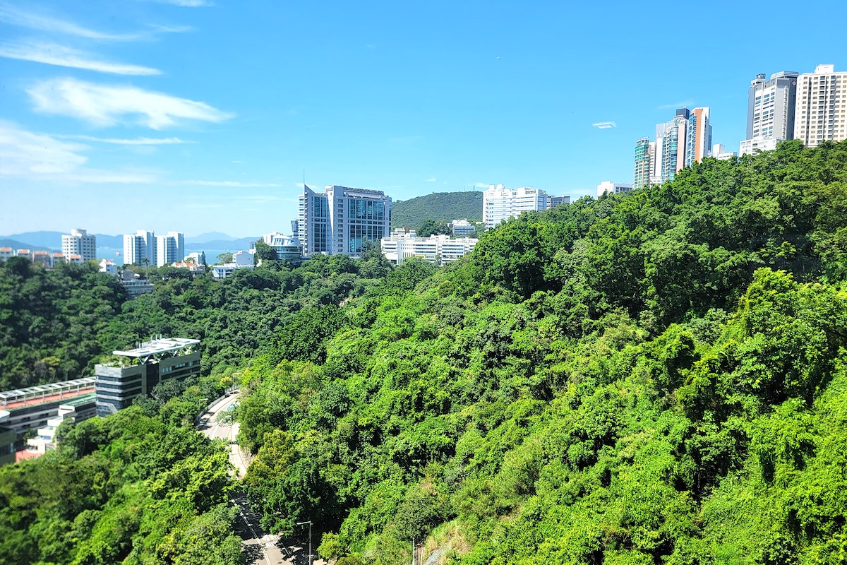 Baguio Villa 碧瑤灣 | View from Living Room