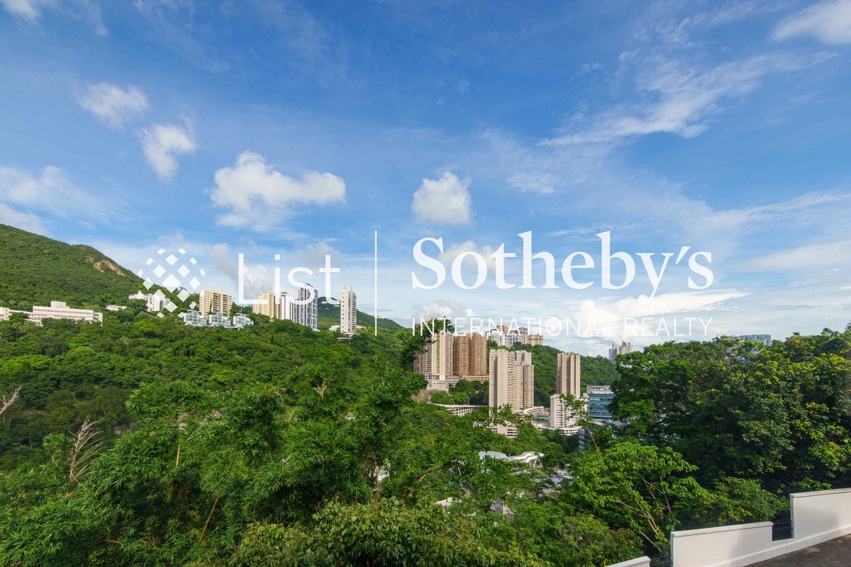 Carrianna Sassoon 沙宣道41號 | View from Private Terrace