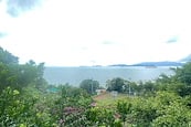 Pine Grove 蘊真閣 | View from Living Room