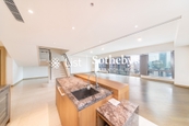 3 Macdonnell Road 麥當勞道3號 | Bar Area in Living and Dining Room