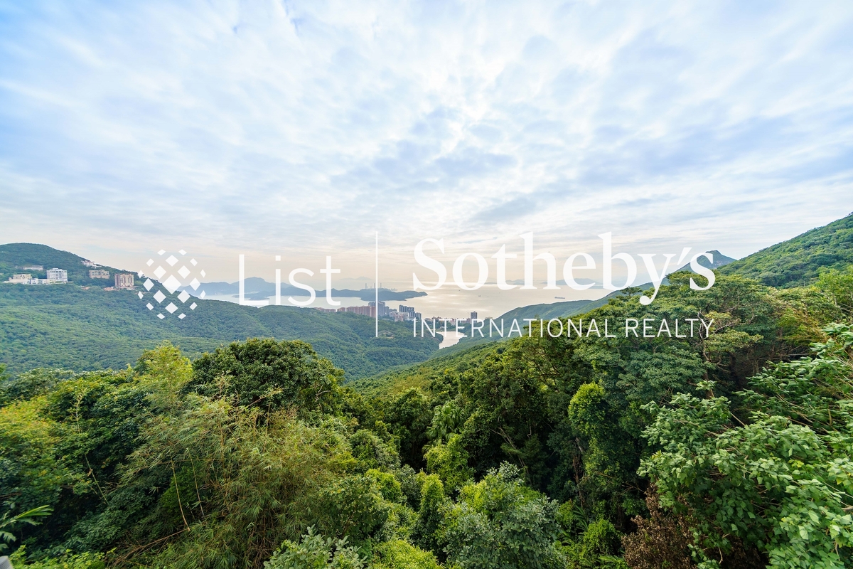 Mount Austin Estate 山景花园别墅 | View from Private Roof Terrace