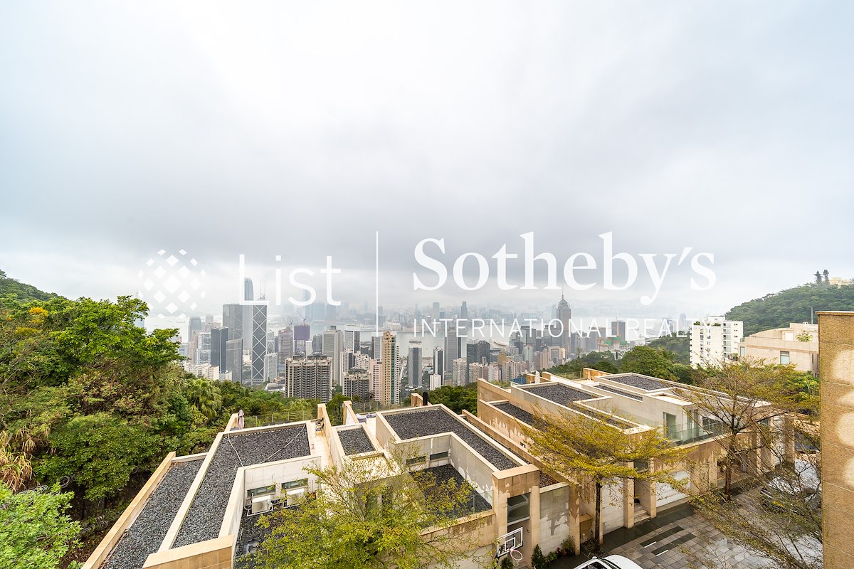 2 Barker Road 白加道2號 | View from Private Roof Terrace