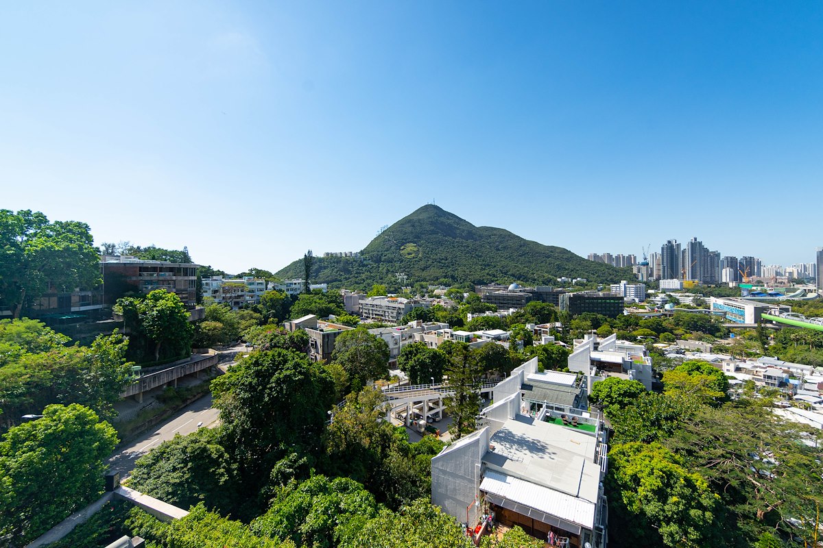 Shouson Peak Shouson Peak | View from Private Roof Terrace