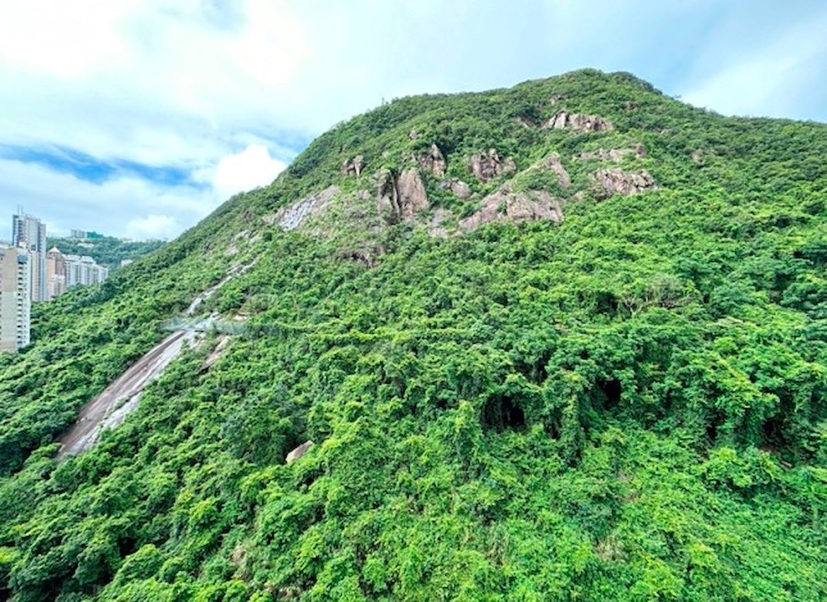 Scenecliff 承德山庄 | View from Living Room