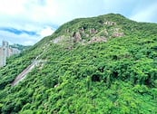 Scenecliff 承德山莊 | View from Living Room