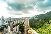 Bamboo Grove 竹林苑 | View from Living and Dining Room
