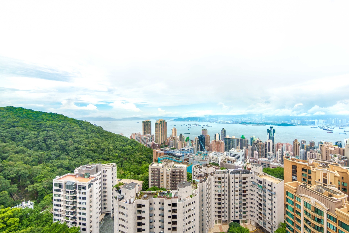 Piccadilly Mansion 碧苑 | View from Living and Dining Room