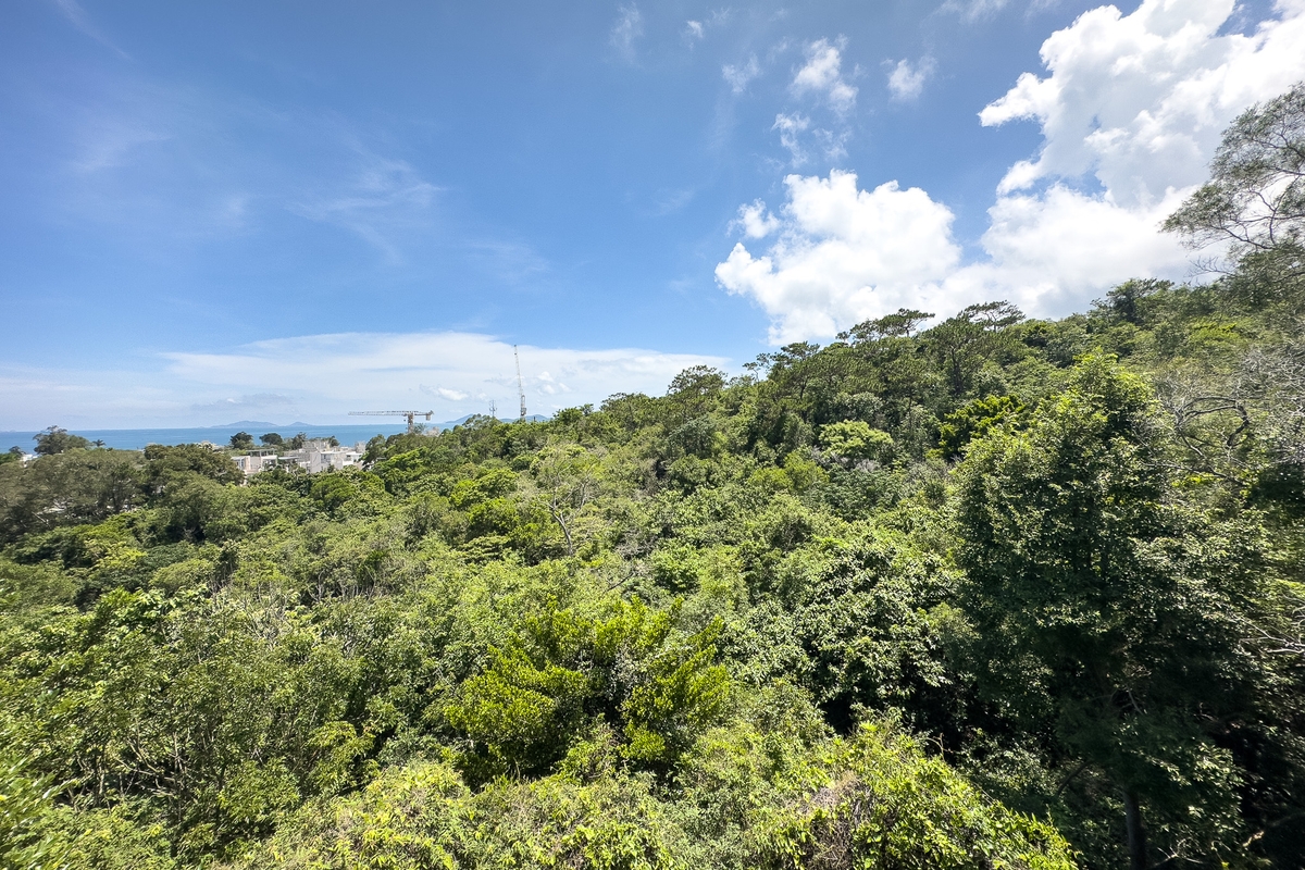Whitesands Whitesands | View from Private Terrace off Living and Dining Room