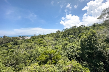 Whitesands Whitesands | 