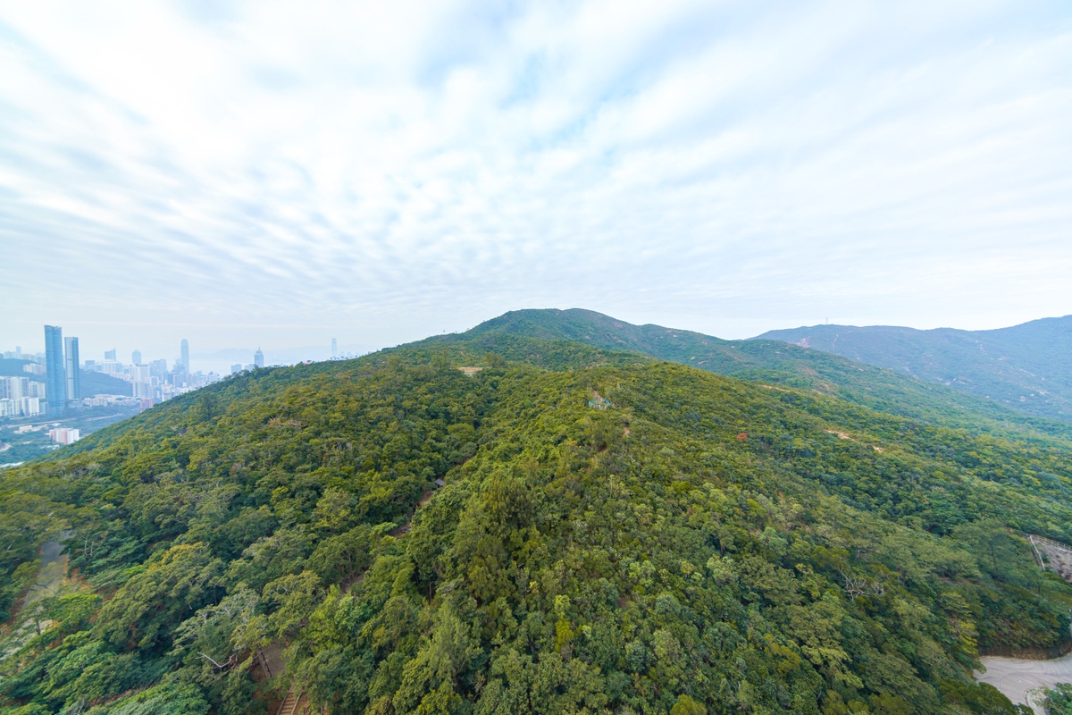 Hong Kong Parkview 阳明山庄 | View ftrom Balcony 