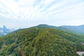 Hong Kong Parkview 阳明山庄 | View ftrom Balcony 
