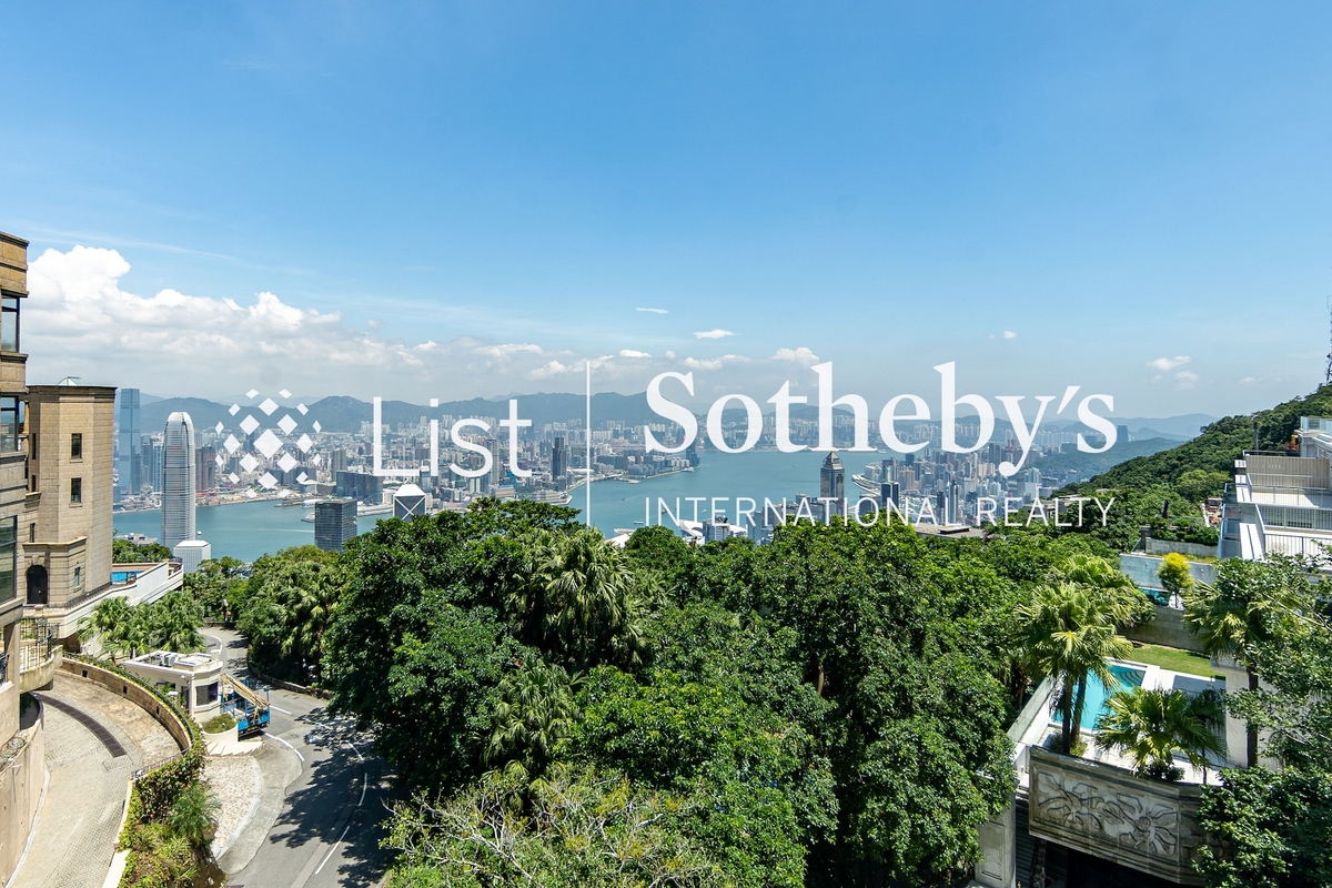 Ardshiel 種植道45號 | View from Living and Dining Room