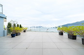 Silverstrand Garden 銀線灣別墅 | Private Garden off Living and Dining Room