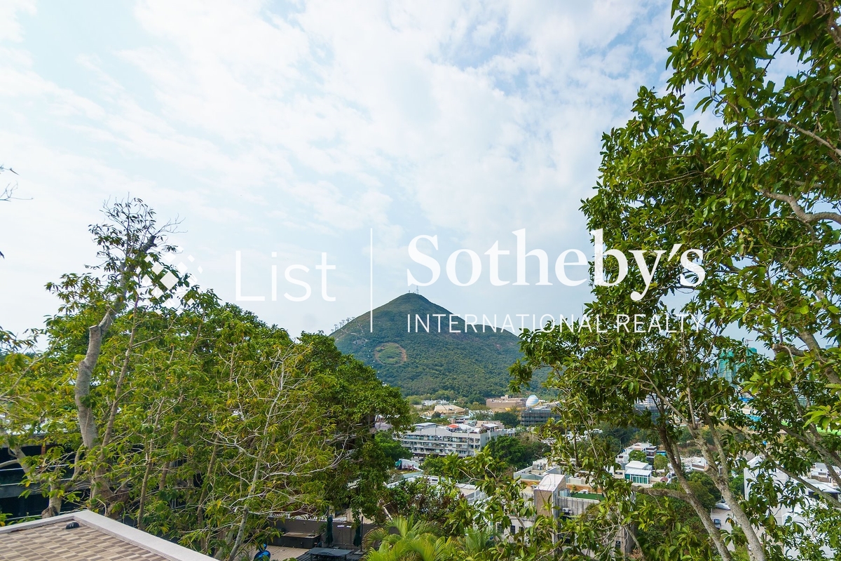 Yue Hing Court 余庆园 | View from Private Roof Terrace