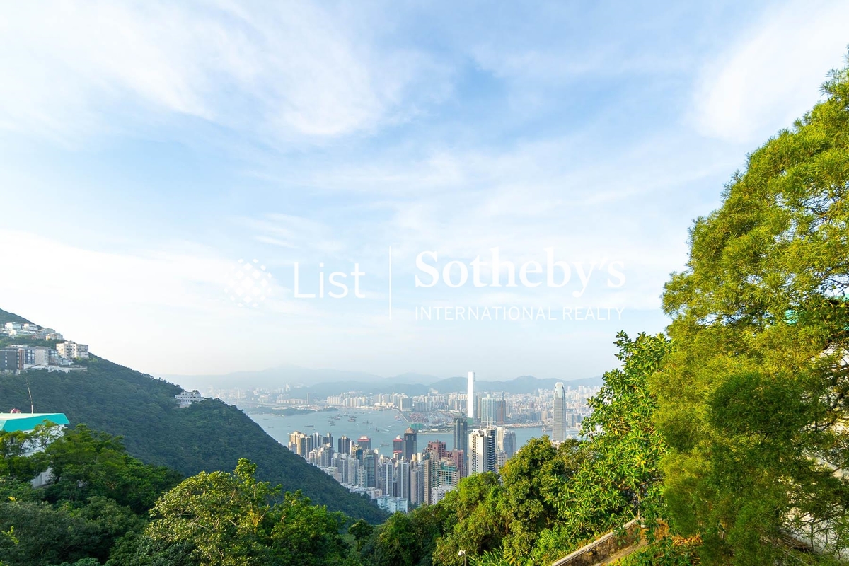 Cloudridge 賓吉道30號 | View from Living and Dining Room