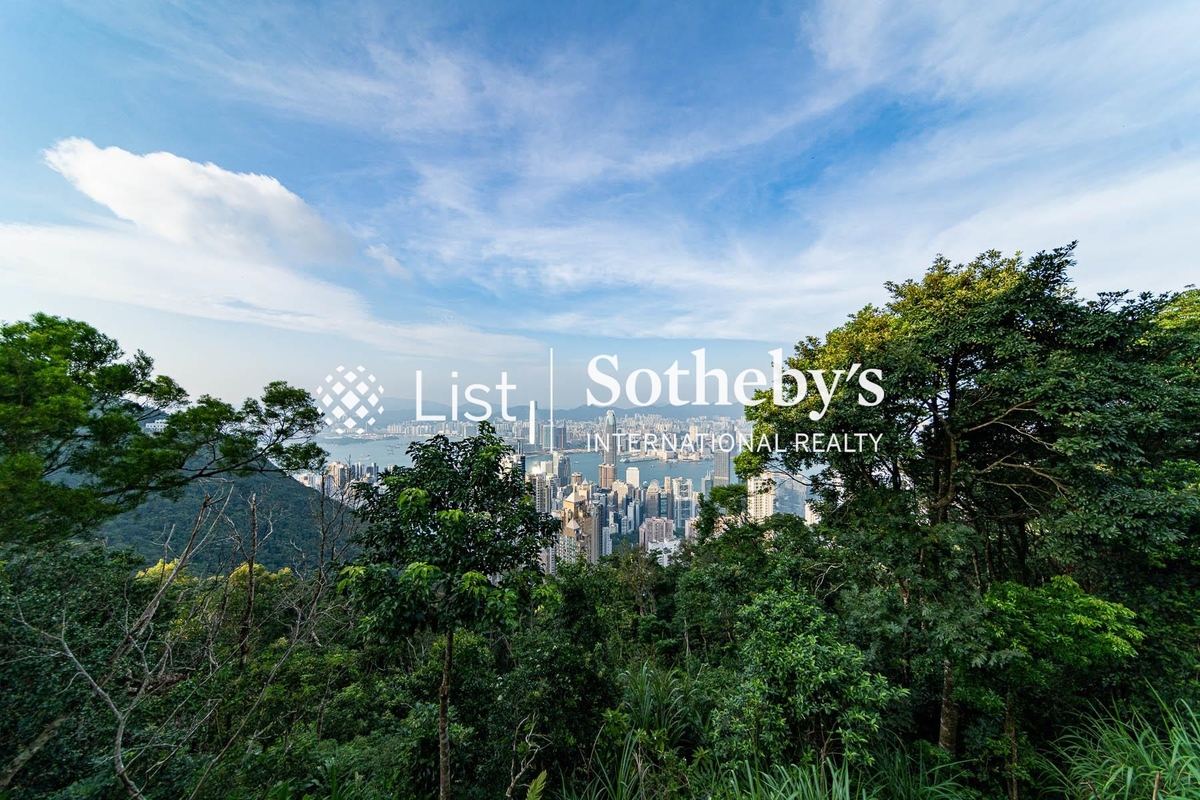 Cloudridge 賓吉道30號 | View from Living and Dining Room