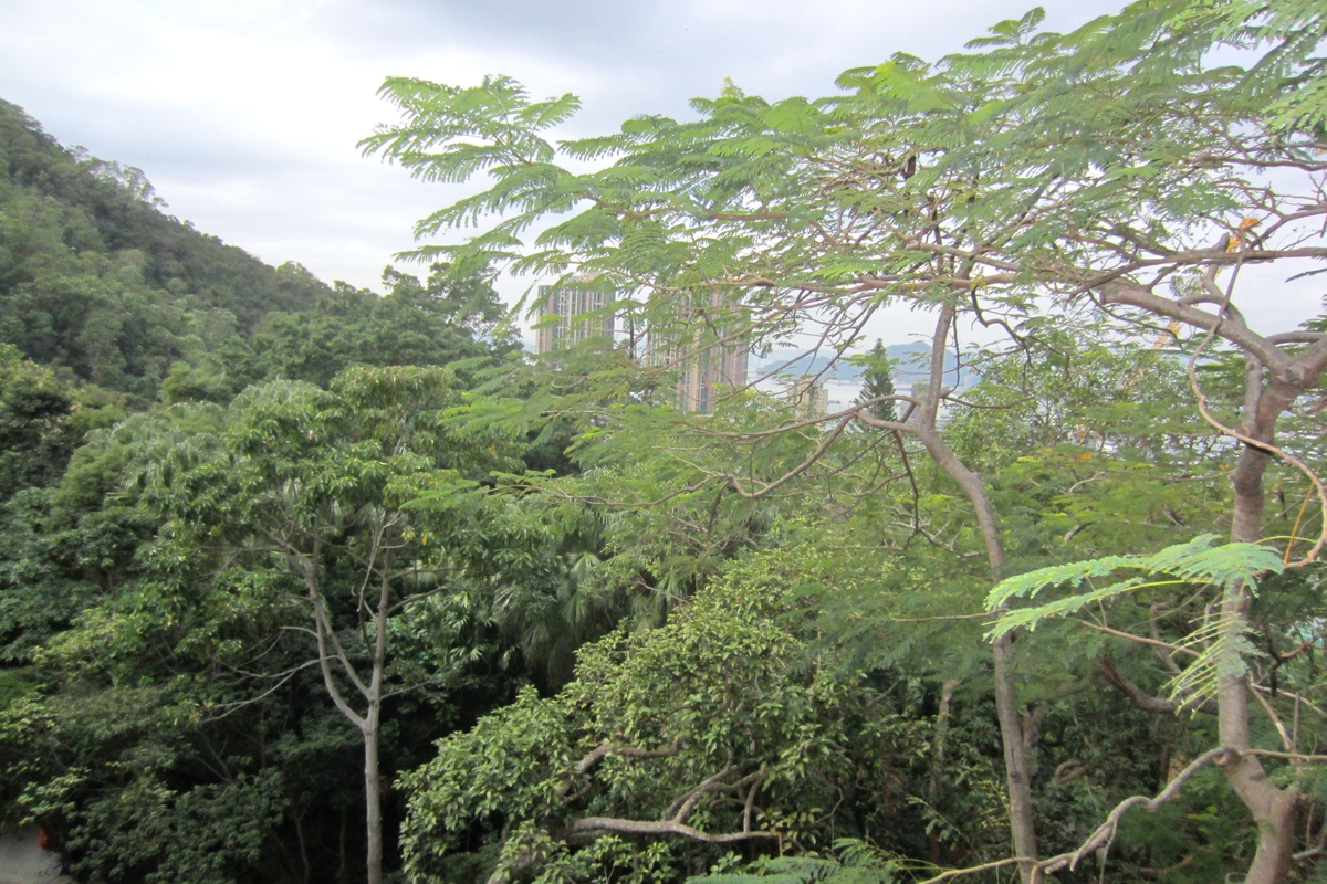 2 Hatton Road 克頓道2號 | View from Living Room