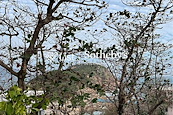 Shek O Headland Road 石澳山仔路 | View from Private Roof Terrace