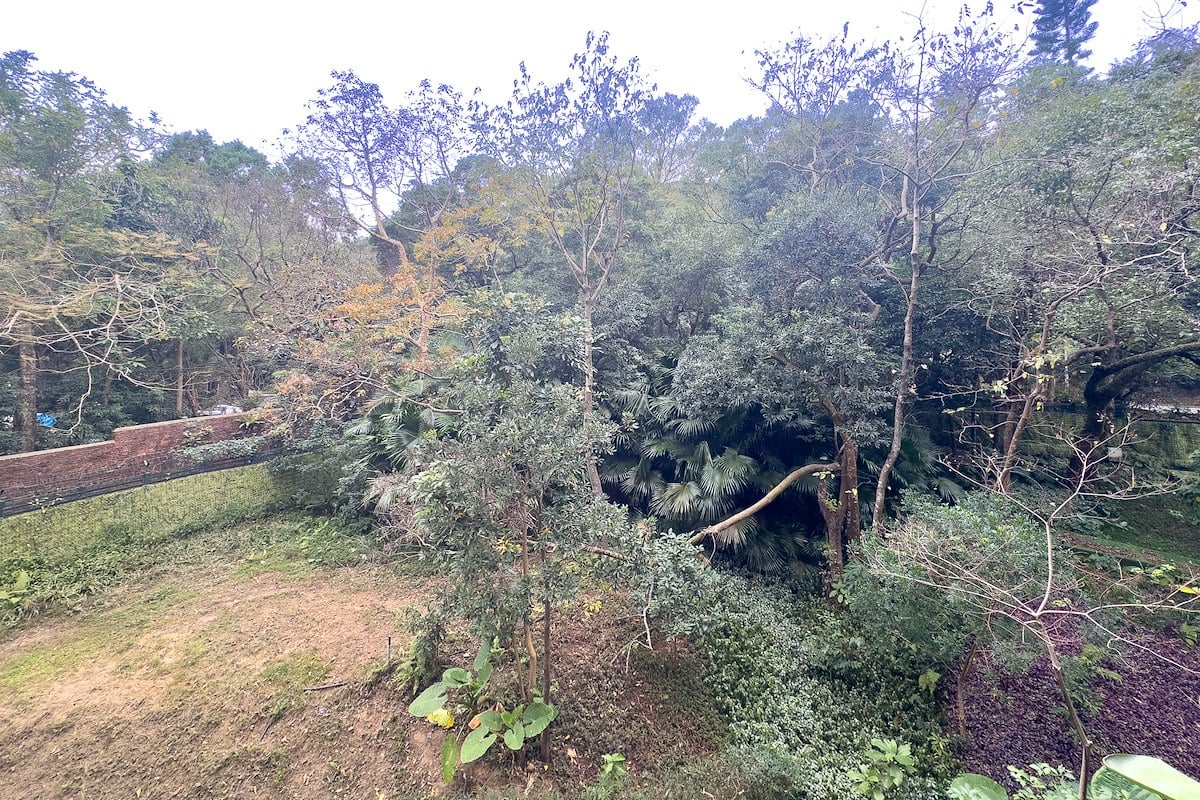 Mount Pavilia 傲瀧 | View from Living and Dining Room