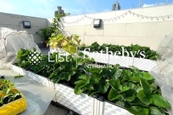 Kiu Wang Mansion 僑宏大廈 | Private Roof Terrace