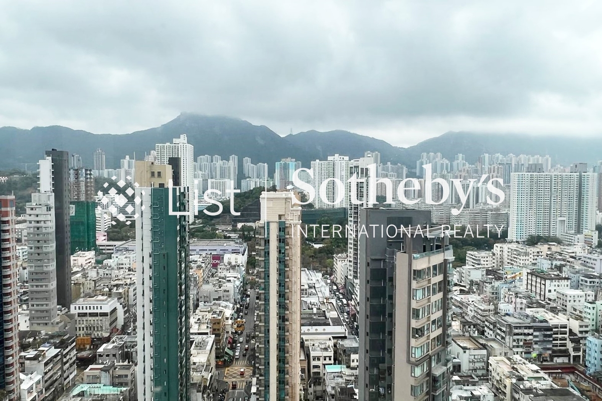 Padek Palace 柏德豪廷 | View from Private Roof Terrace