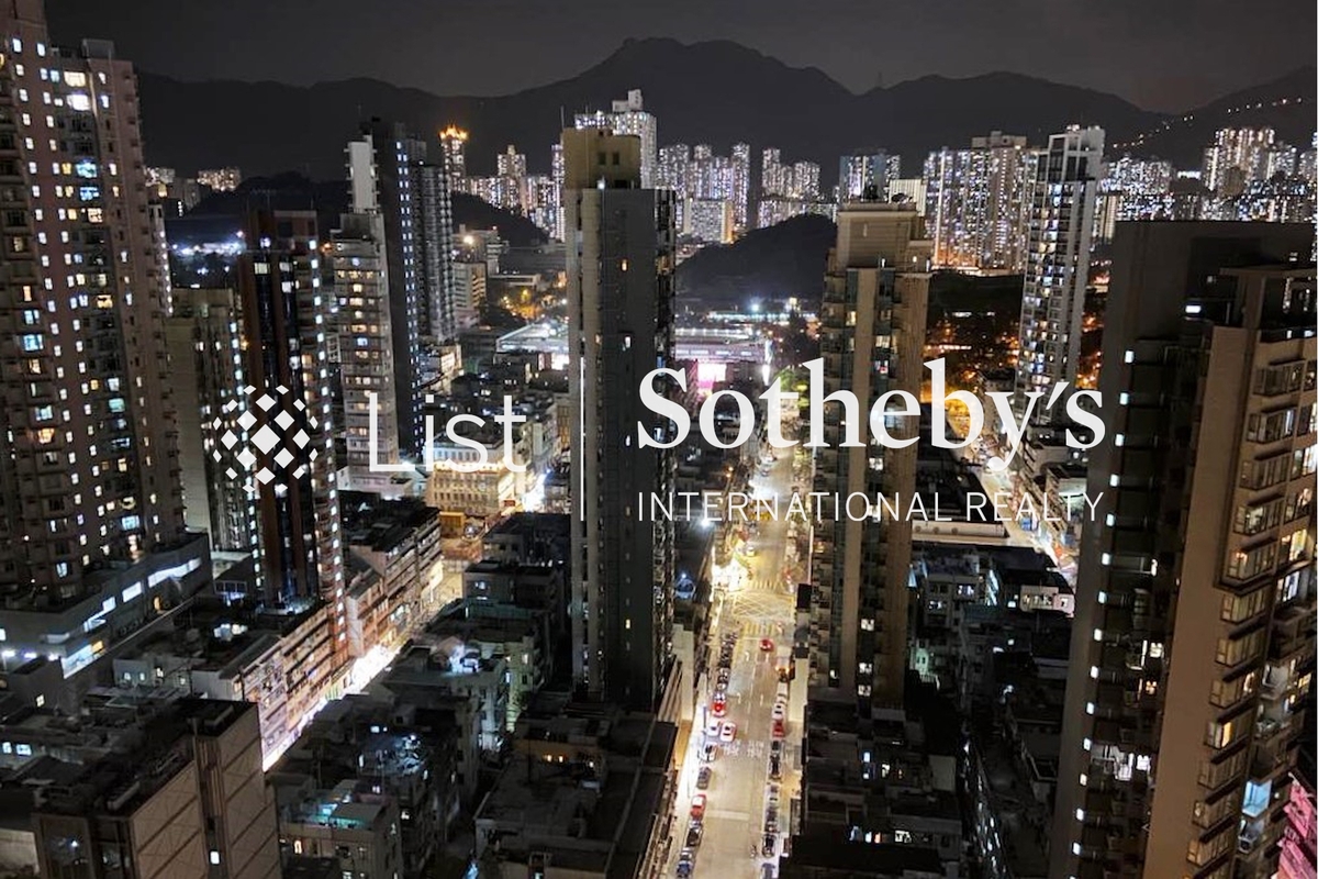 Padek Palace 柏德豪廷 | View from Private Roof Terrace