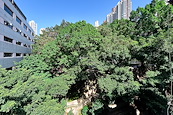 Eastern Street 东边街 | View from Private Roof Terrace