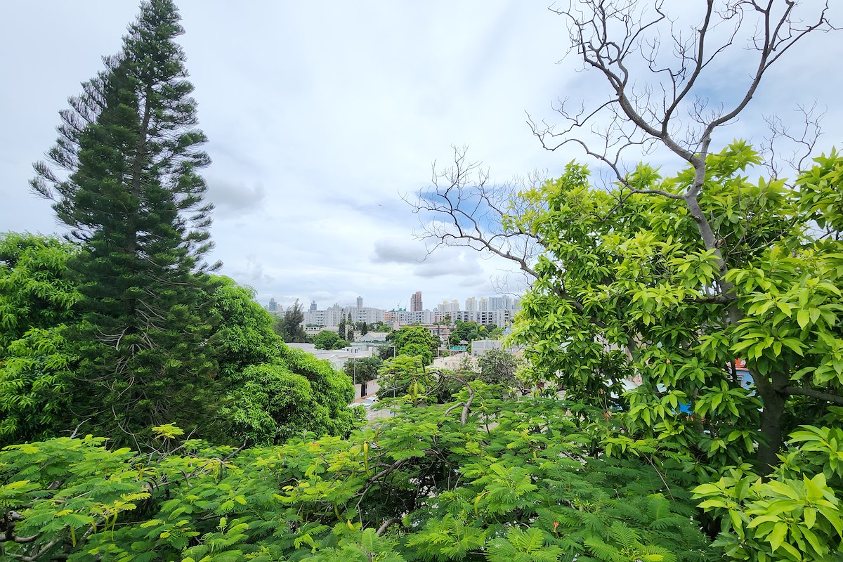 Sunderland Estate 新德園 | View from Private Roof Terrace