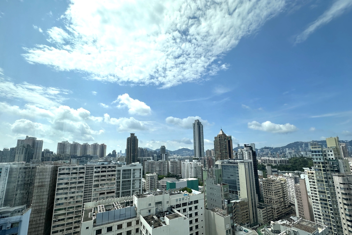 No. 3 Julia Avenue 棗梨雅道3號 | View from Private Roof Terrace