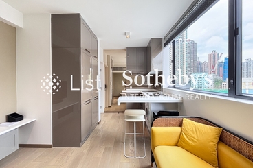 Hollywood Hill Hollywood Hill | 