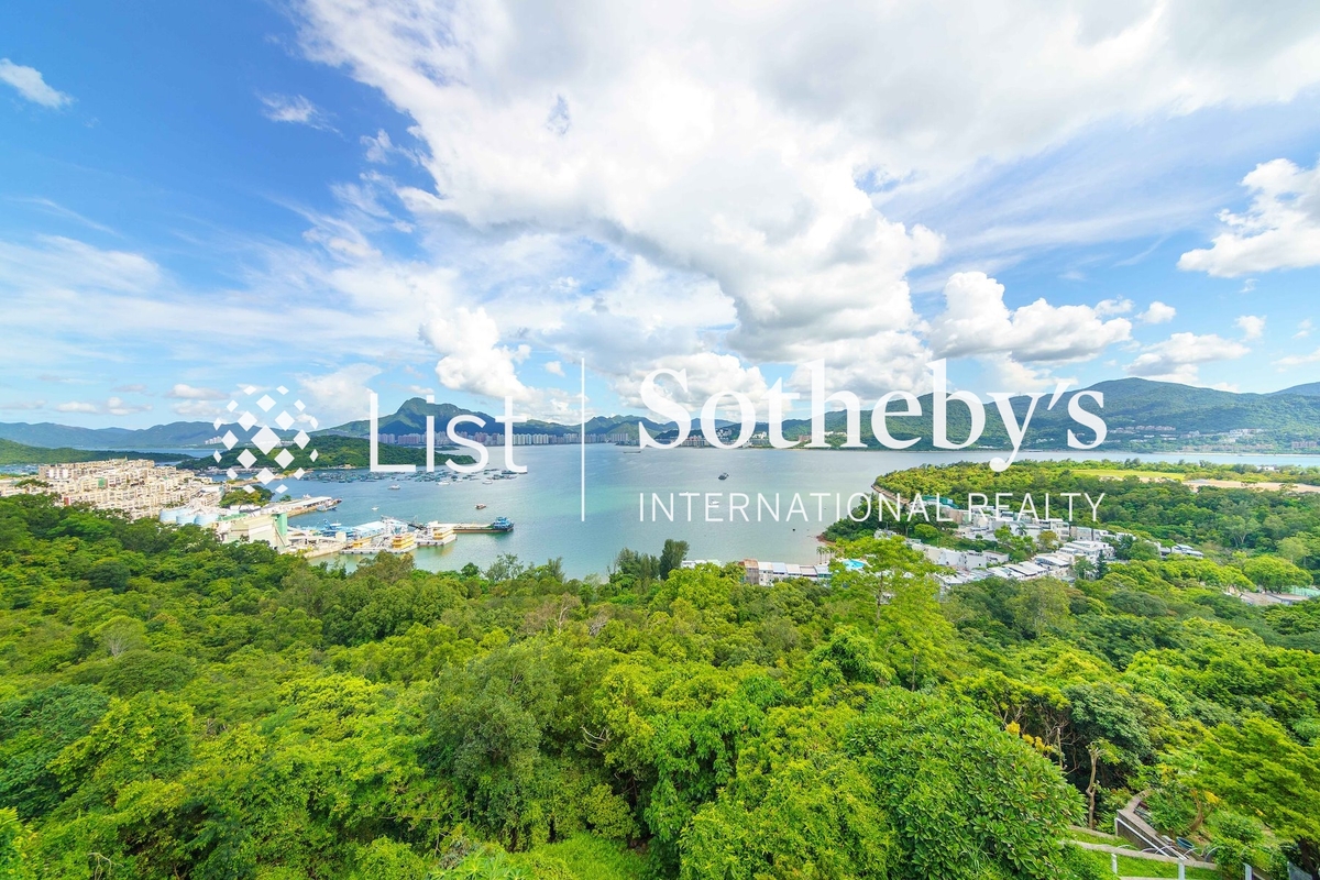 Tycoon Place 聚豪天下 | View from Private Roof Terrace