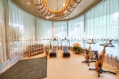 One Central Place One Central Place | Gym Room