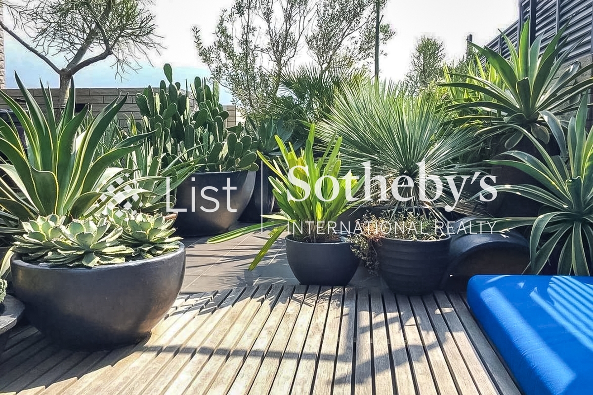 Ha Che 下輋 | Private Roof Terrace